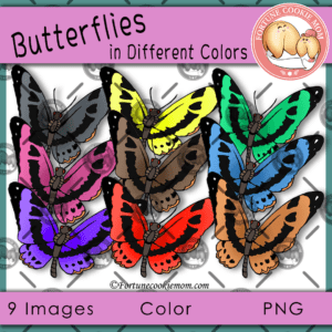 butterflies in different colors